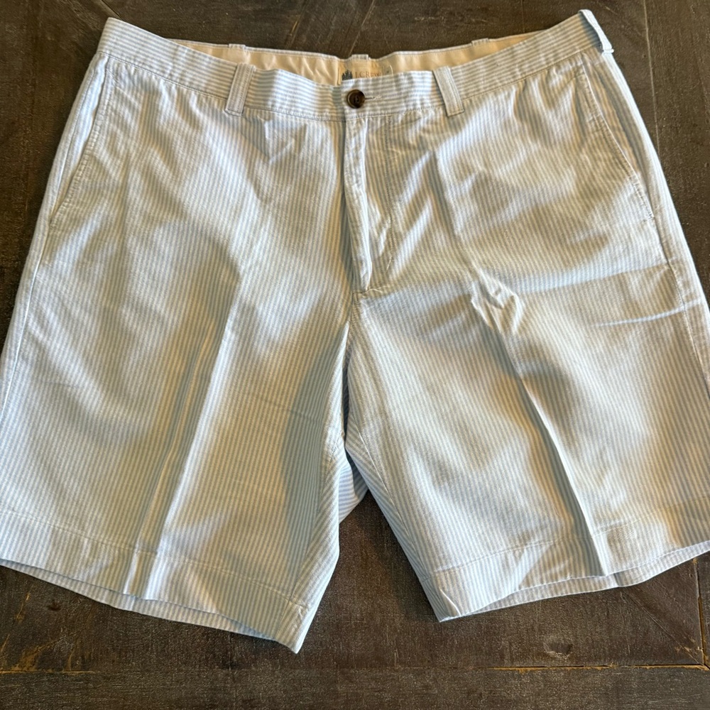 J.Crew Shorts Men's 38 Baby Blue Pinstripe Summery Vacation Casual 100% Cotton